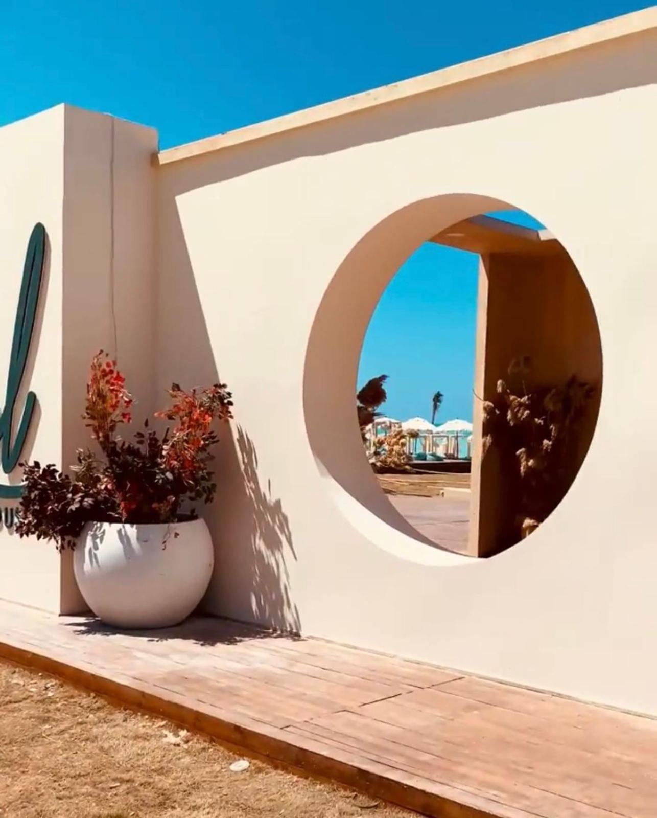 الداون تاون الجديده خلف الابراج El Down Town New El Alamaein